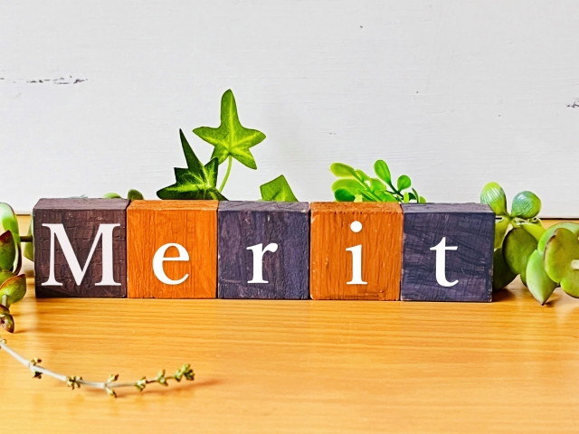 1人社長のメリット